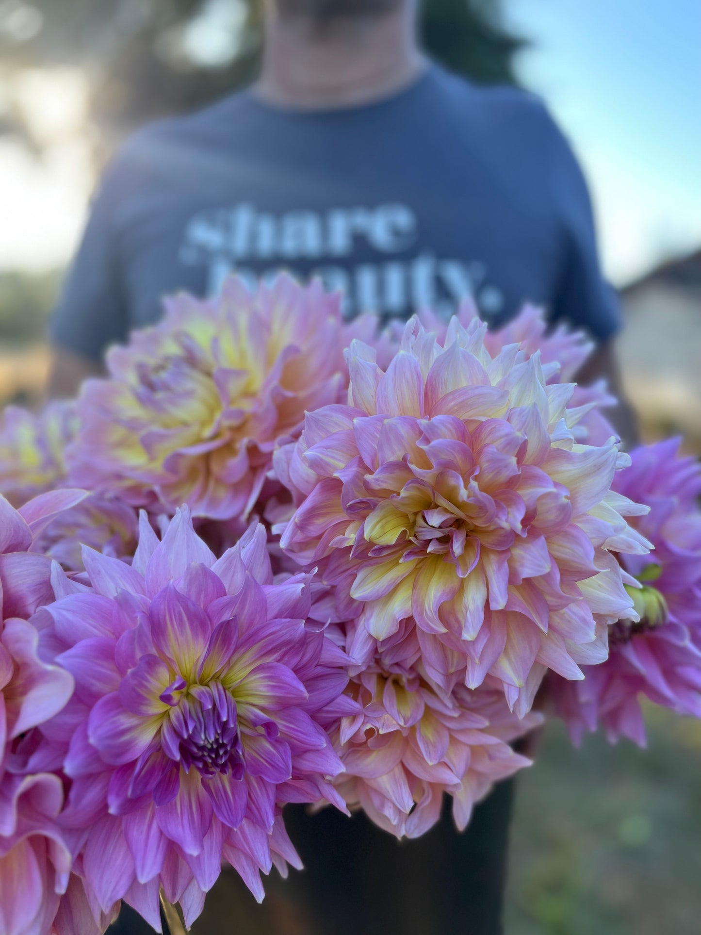 Strawberry Ice Dahlia Tuber