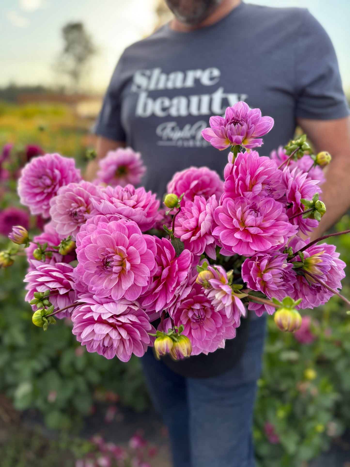 Sandia Molly Dahlia Tuber