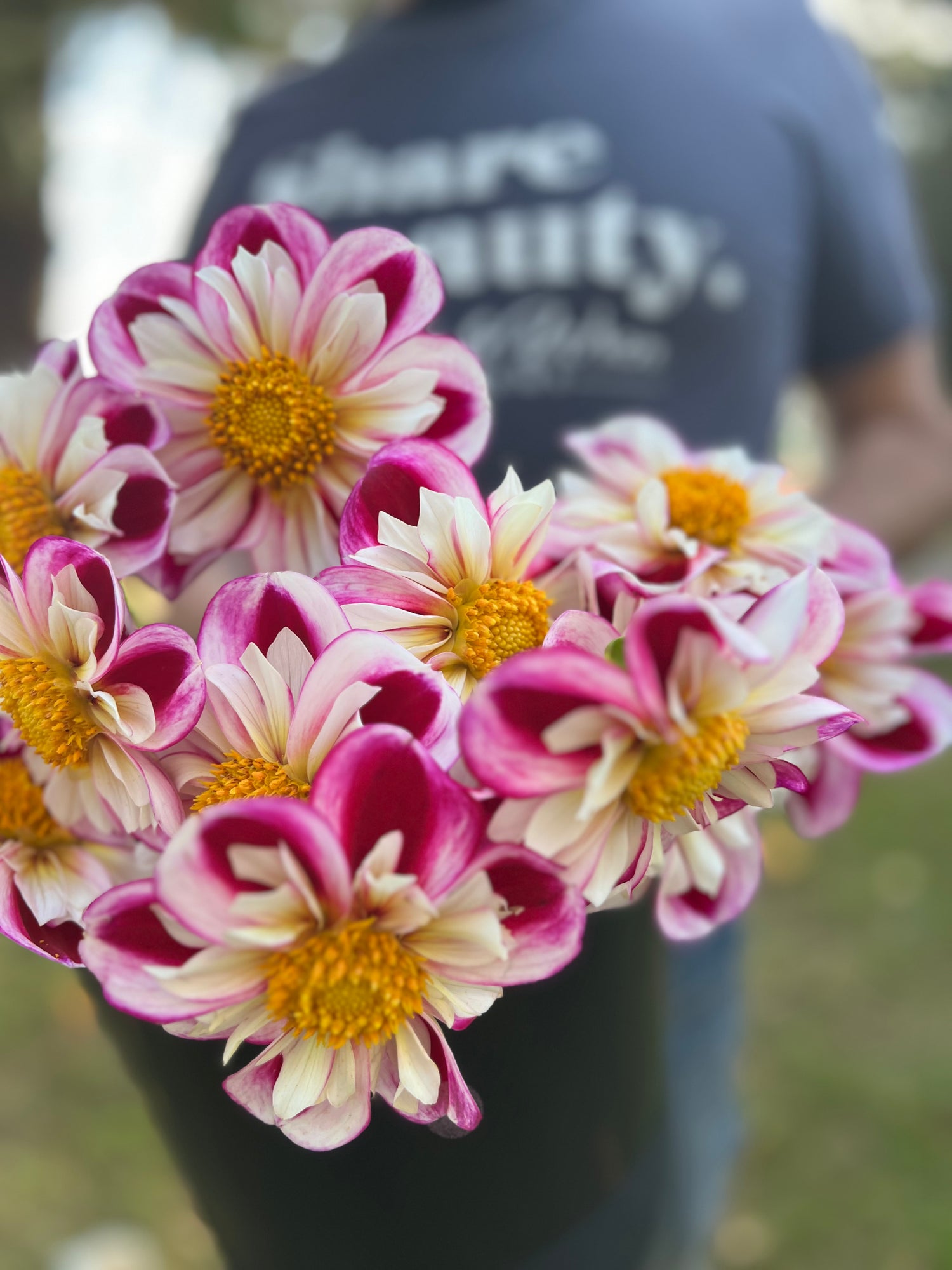 Plum and Purple and White Bumble Rumble Dahlia tubers from Triple Wren Farms 