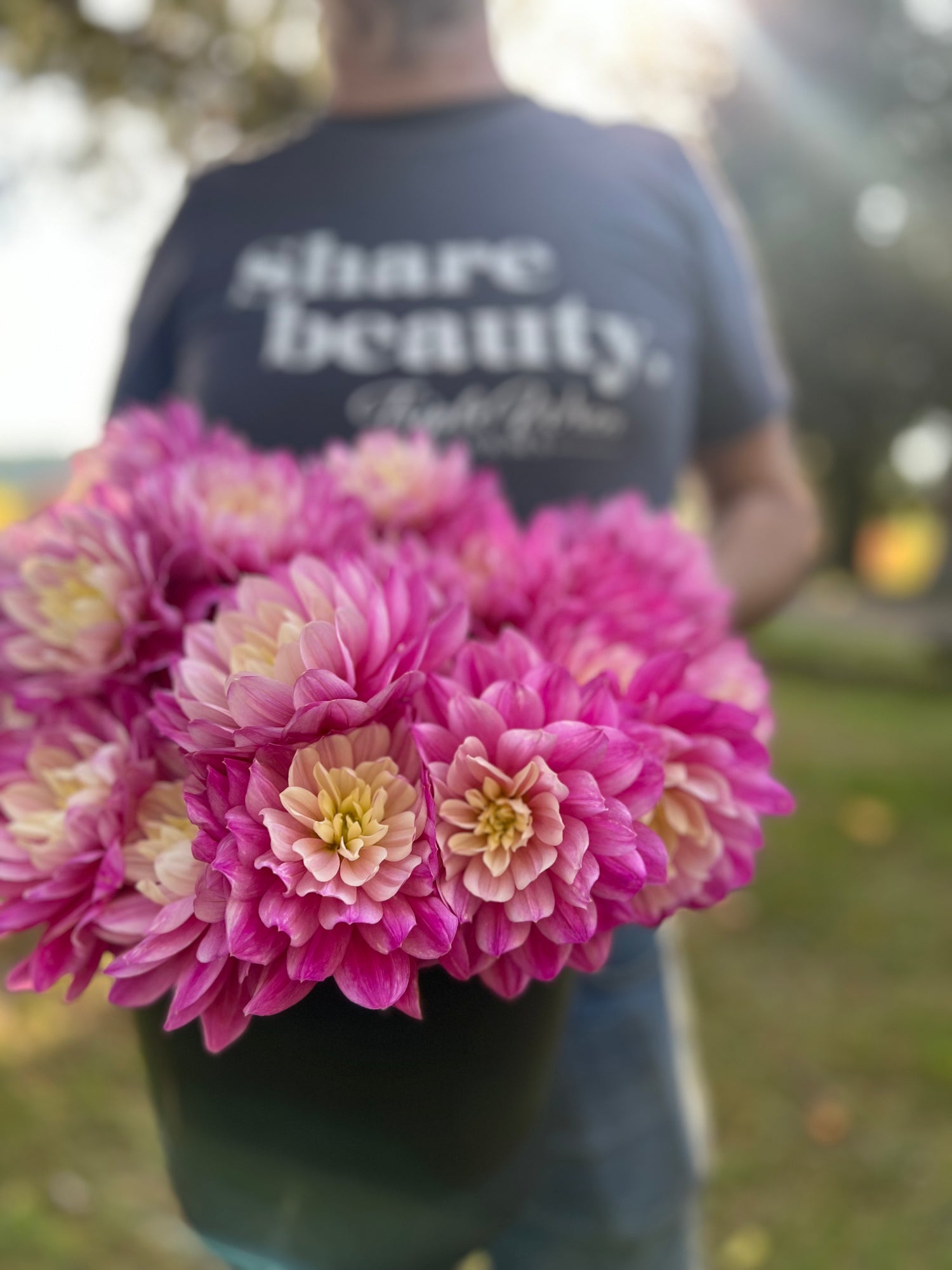 buy HollyHill Pink Martini Dahlia Tuber from Triple Wren Farms for your home garden