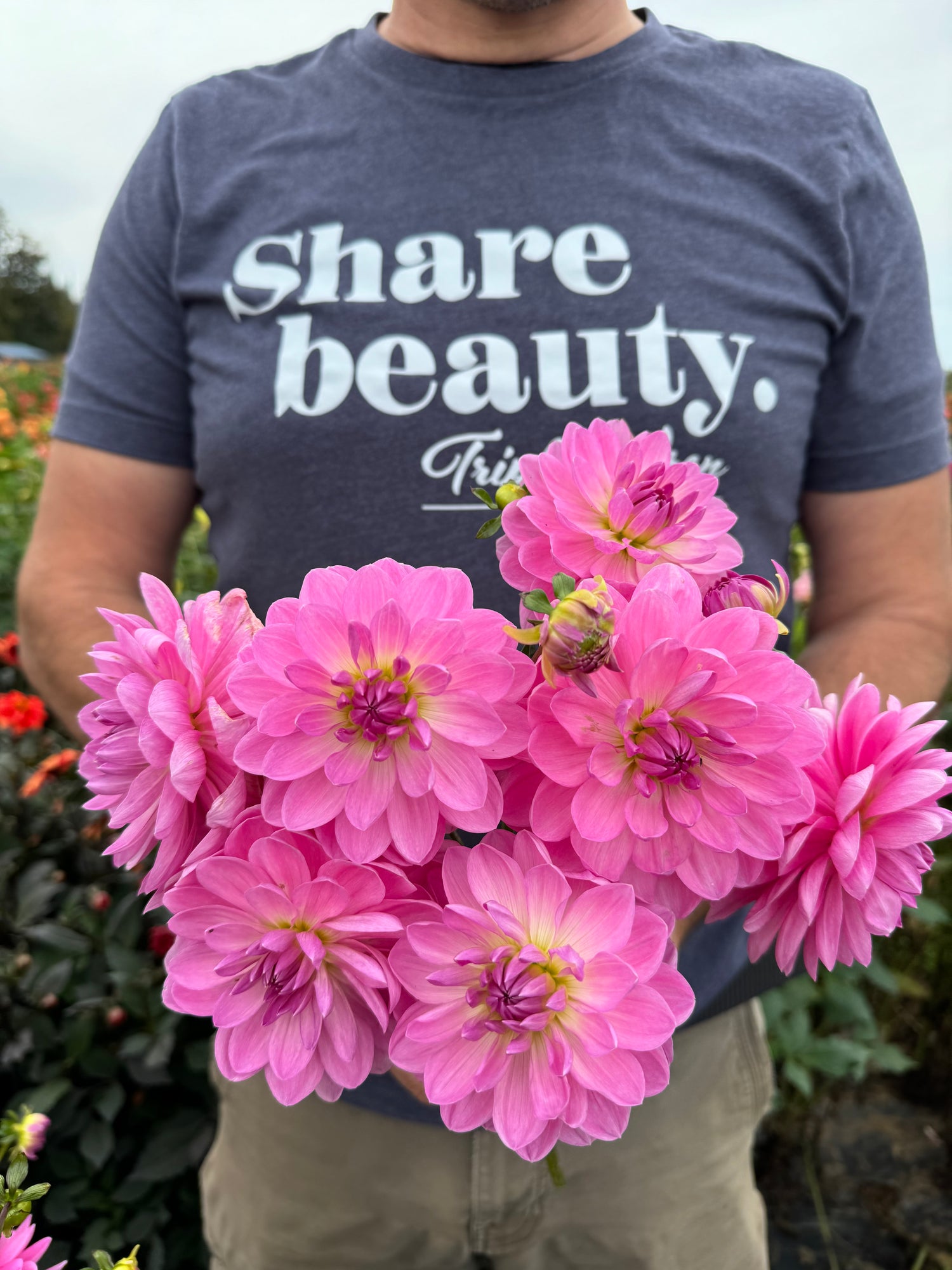 Carmen Bunky Dahlia