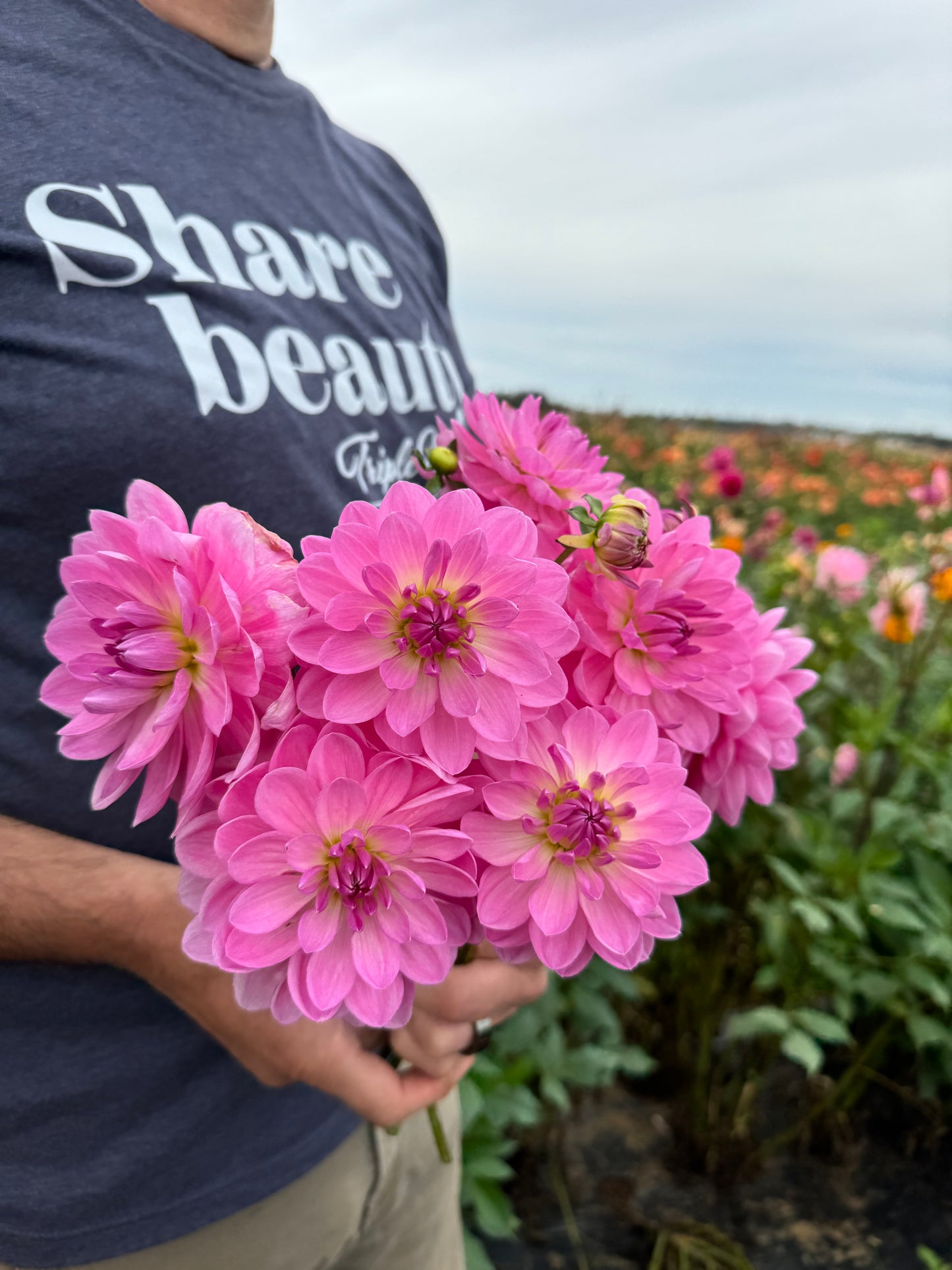 Carmen Bunky Dahlia Tubers from Triple Wren Farms