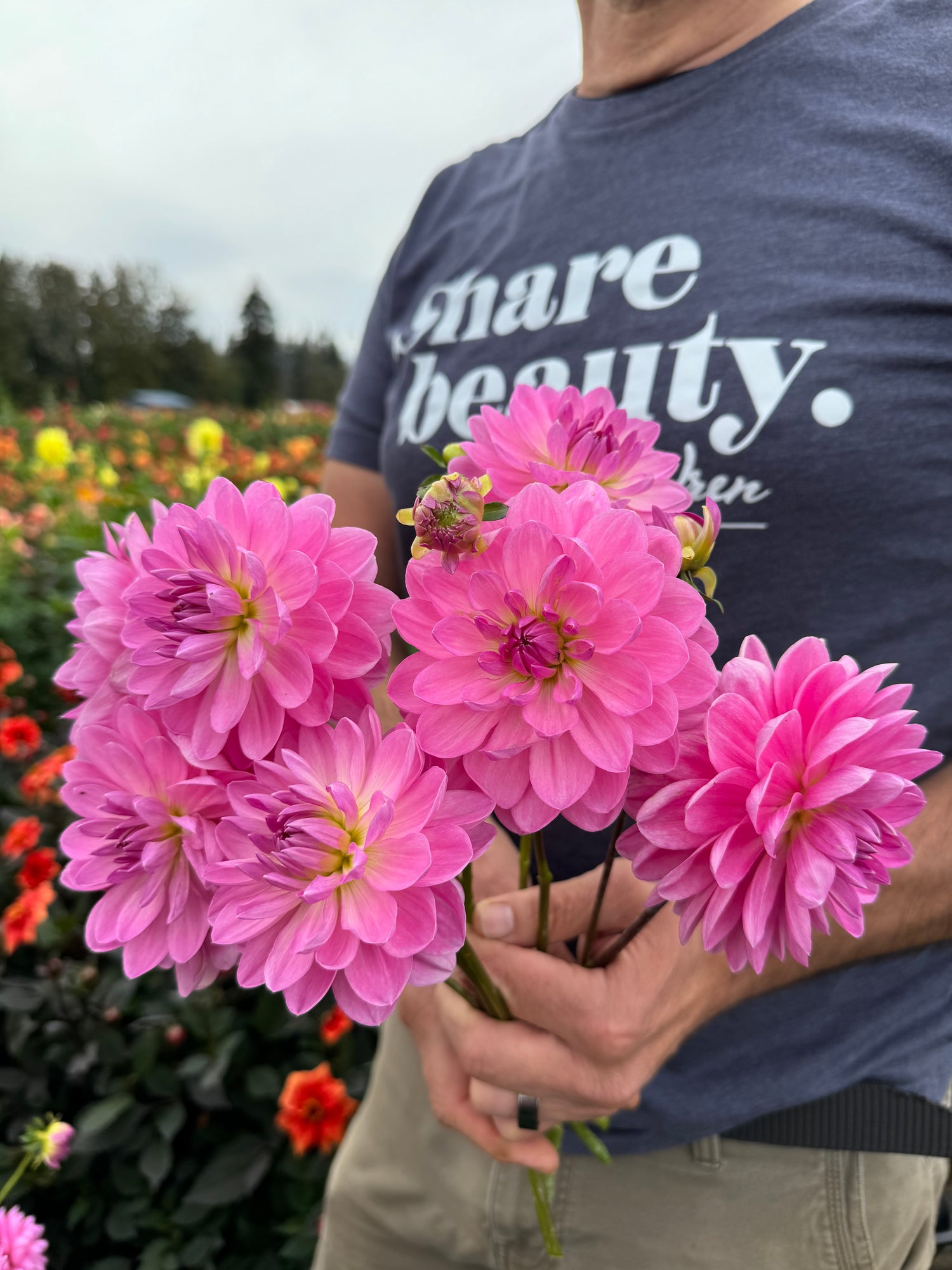 Carmen Bunky Dahlias from Triple Wren Farms