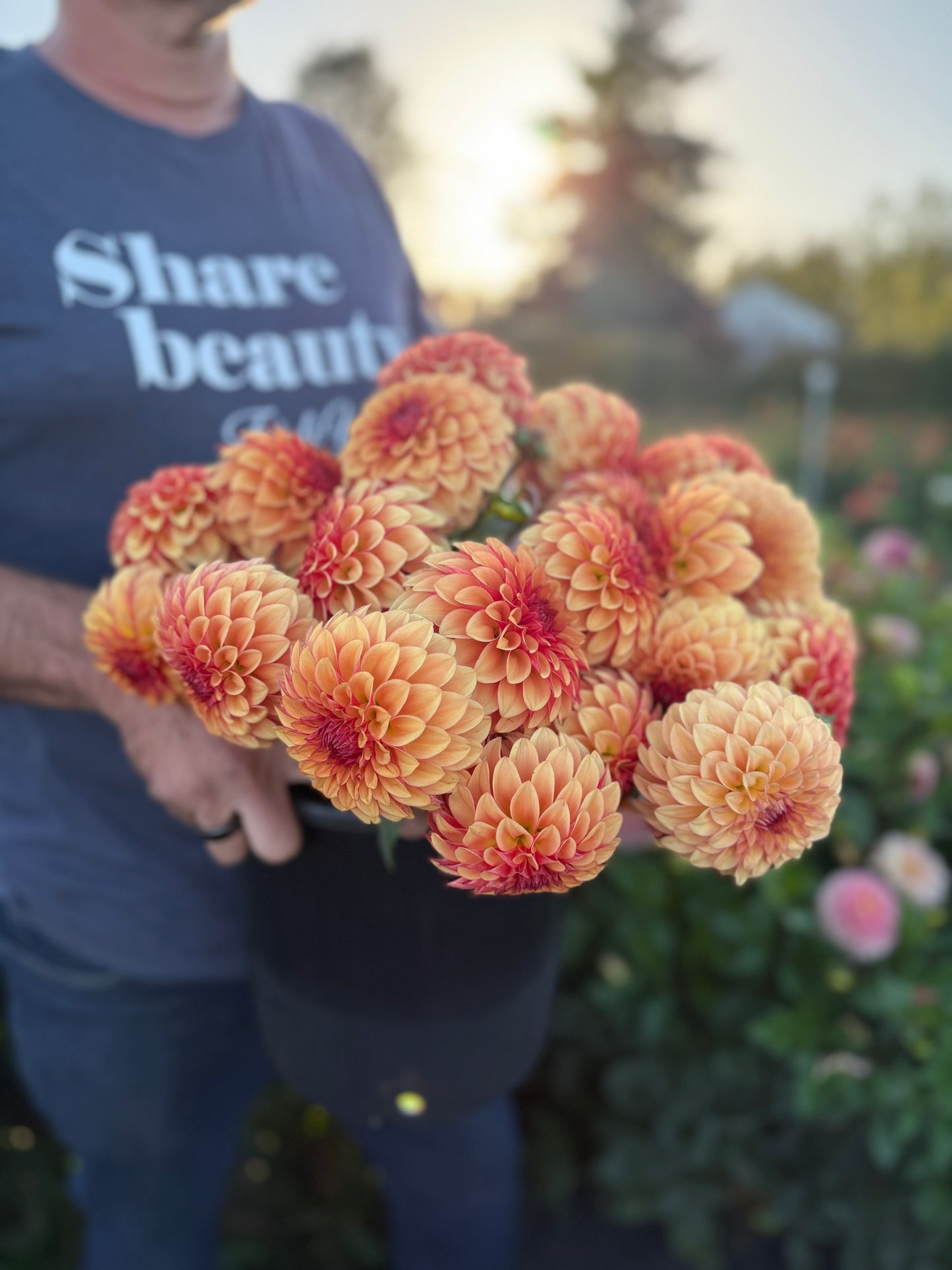 Person holding a bouquet of orange and cream flowers with 'Share beauty' t-shirt in the background from Triple Wren Farms