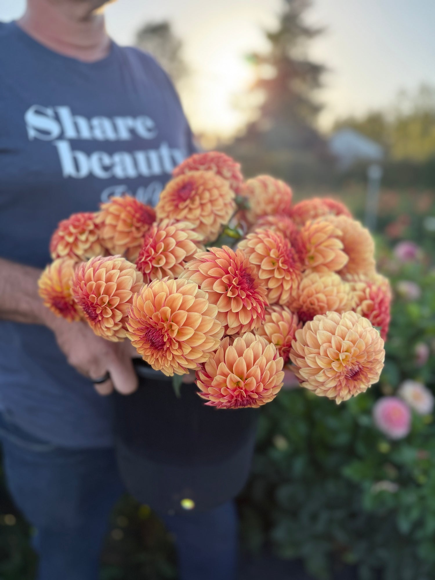 Person holding a bouquet of orange and cream flowers with 'Share beauty' t-shirt in the background from Triple Wren Farms