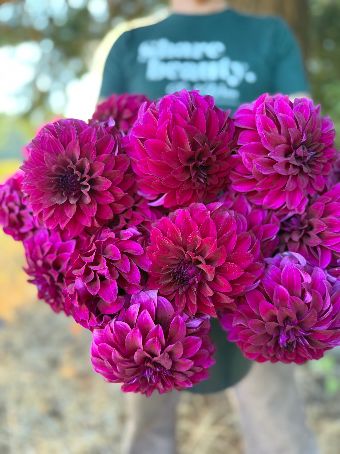 A close-up of a bouquet of vibrant purple dahlia flowers held in front of a person wearing a dark green t-shirt with 'share beauty.' printed on it, set against a blurred outdoor background.