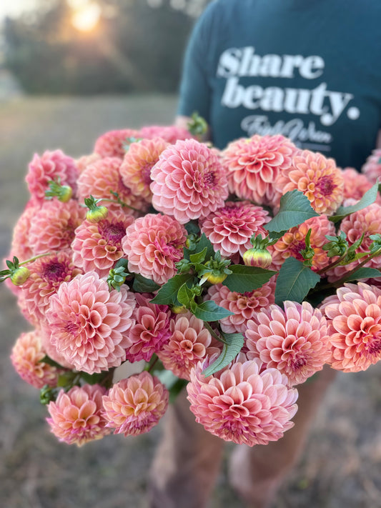 A large bouquet of peachy-pink dahlia flowers with green leaves held by a person wearing a dark teal t-shirt with the text 'Share beauty. Triple Wren.
