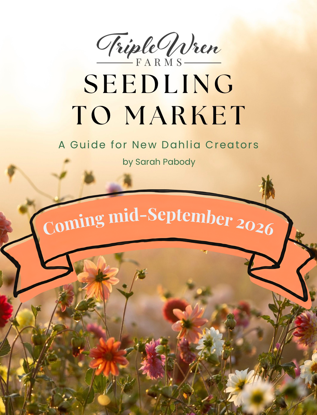 Coming mid- September: Seedling to Market: A Guide for New Dahlia Creators
