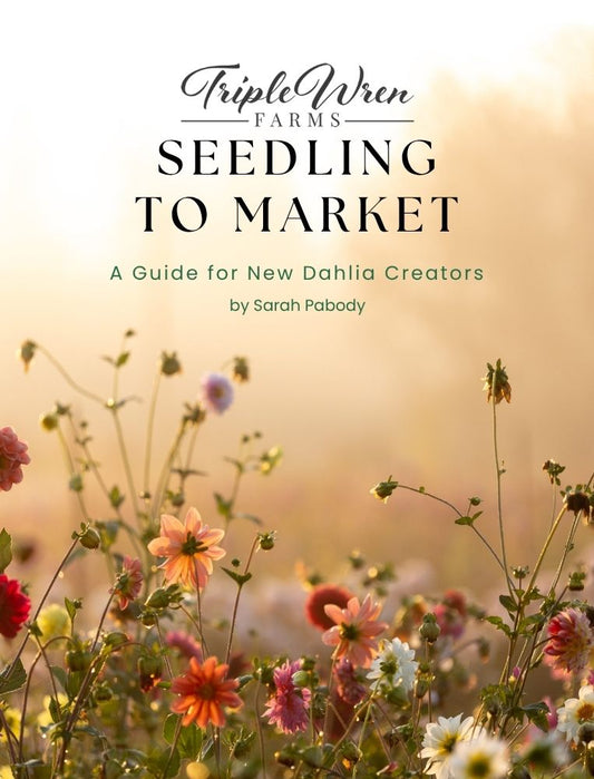 Seedling to Market: A Guide for New Dahlia Creators (eBook)