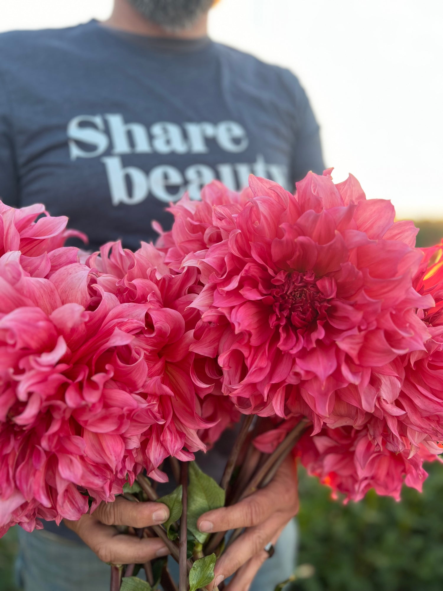 Buy Islander Dahlia Tuber from Triple Wren Farms