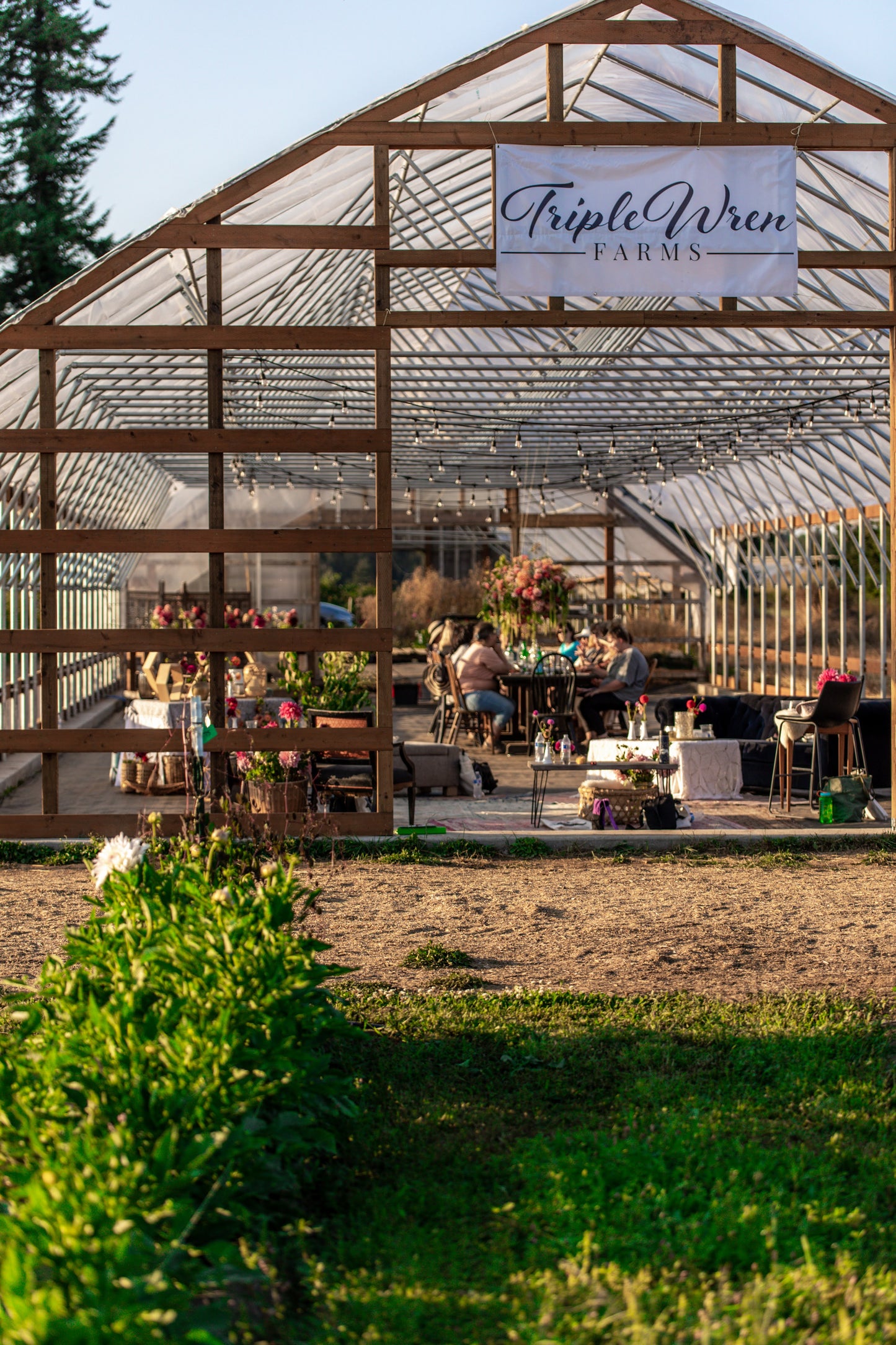 From Seedling to Market: A Workshop for New Dahlia Creators