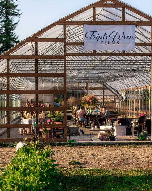 From Seedling to Market: A Workshop for New Dahlia Creators