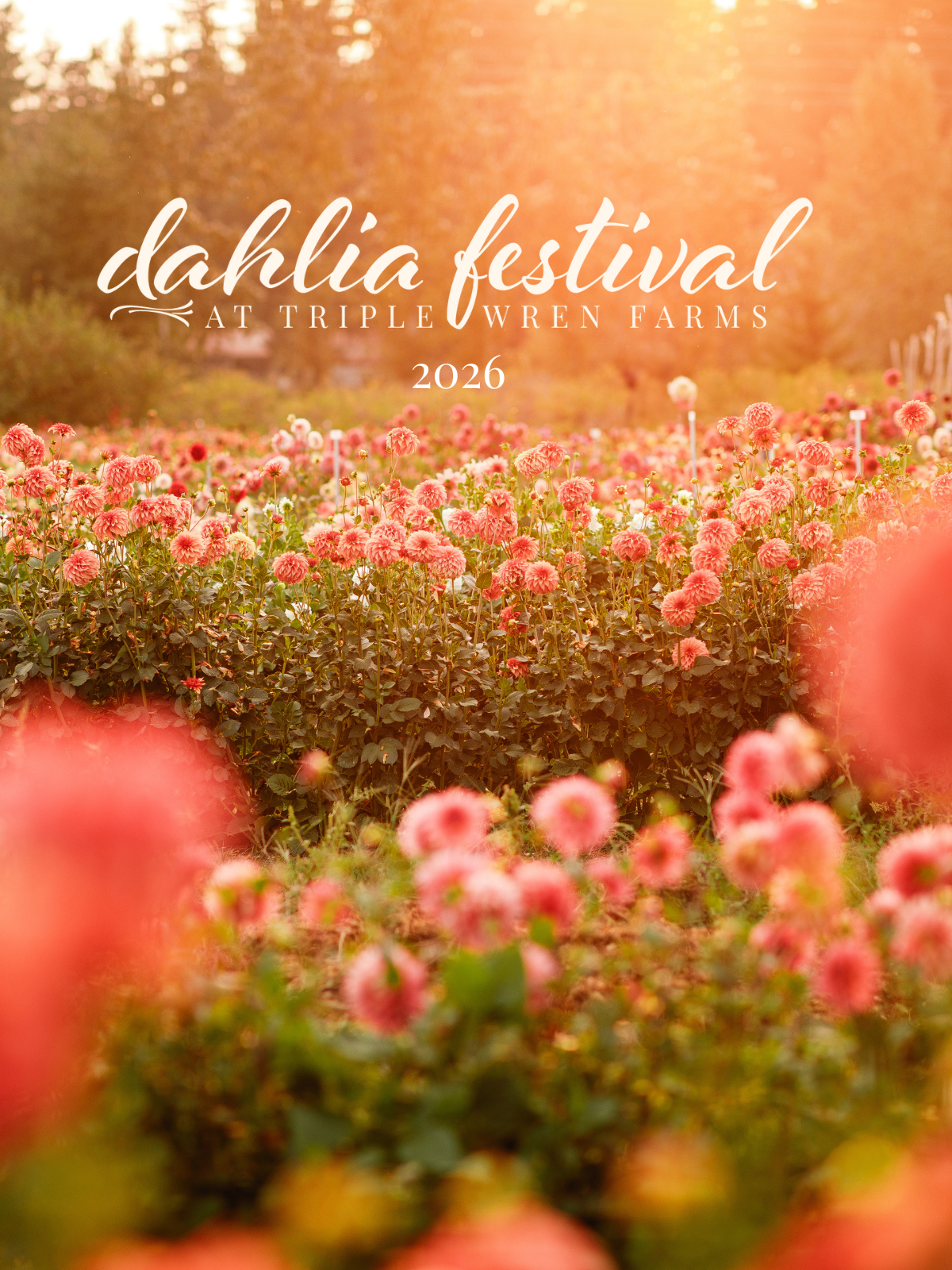 Admission to Dahlia Festival 2026
