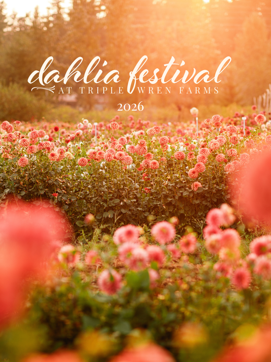 Admission to Dahlia Festival 2026