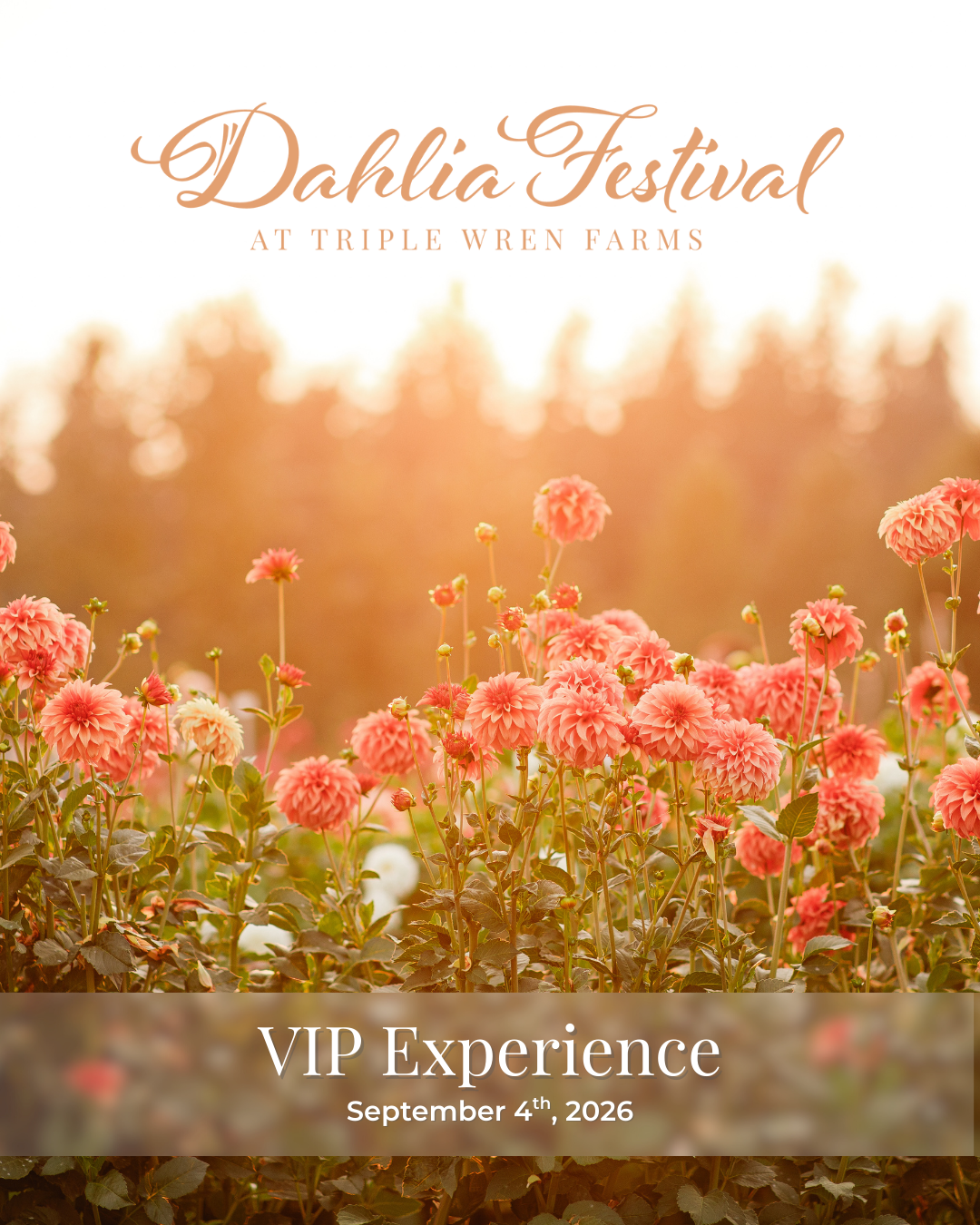 Admission to Dahlia Festival 2026
