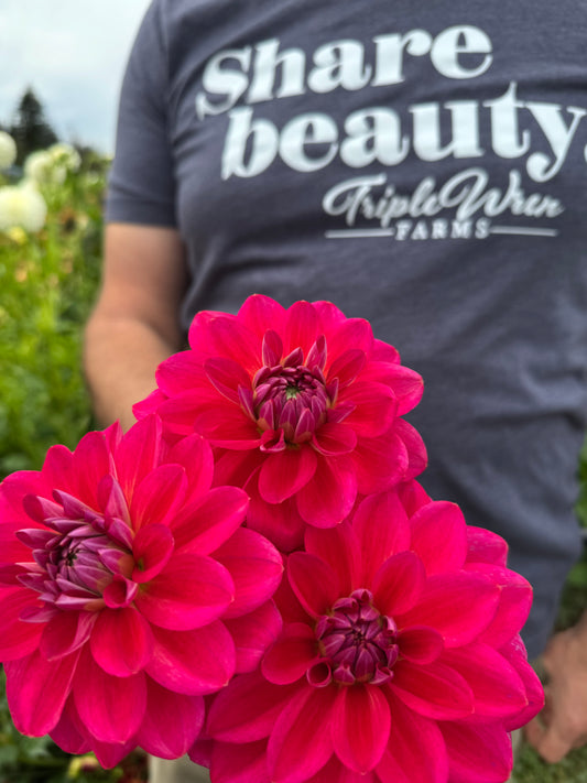 Dazzle Me Dahlia Tubers from Triple Wren Farms