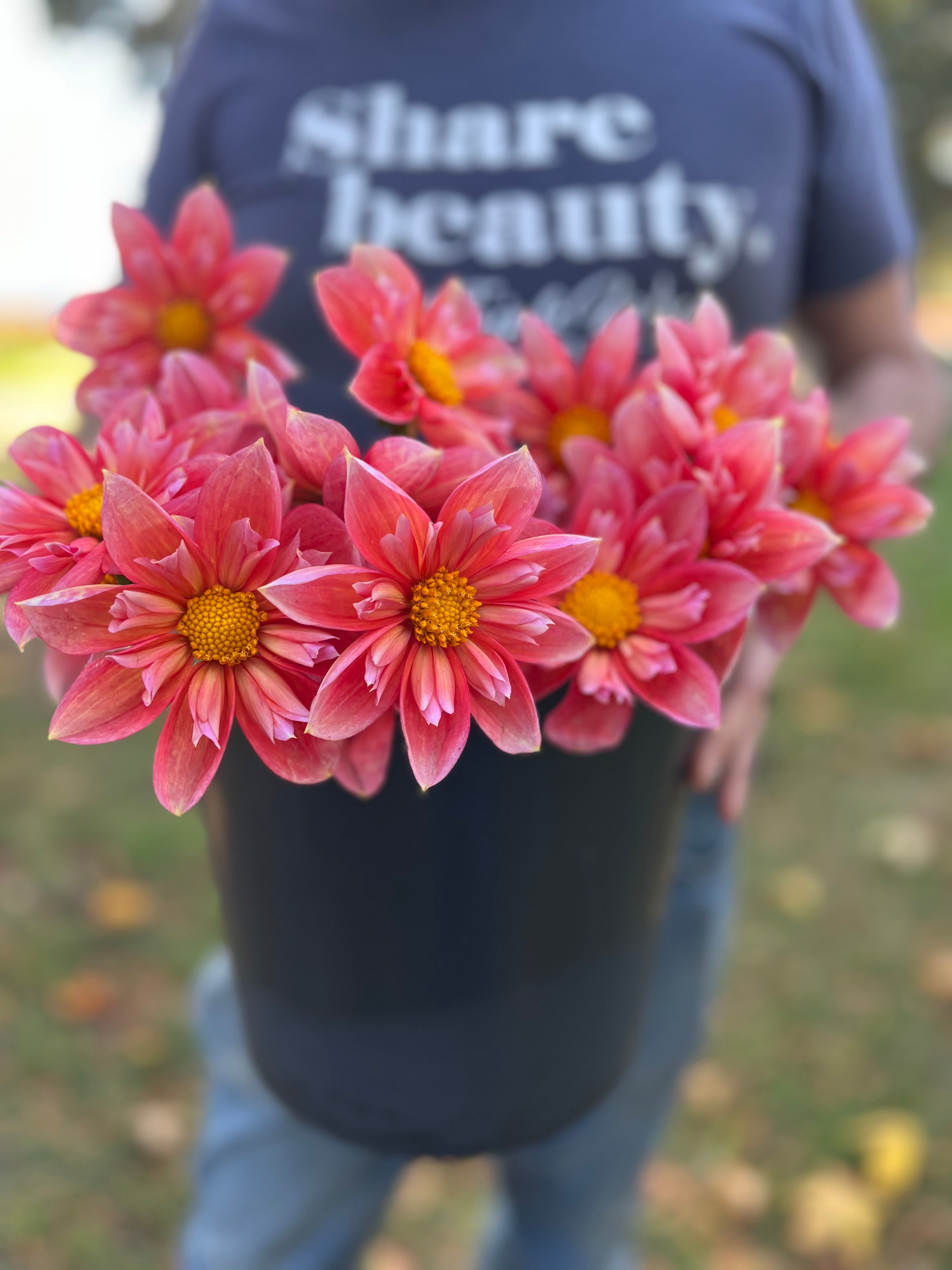 Bloomquist Simple Dahlia Tuber – Triple Wren Farms