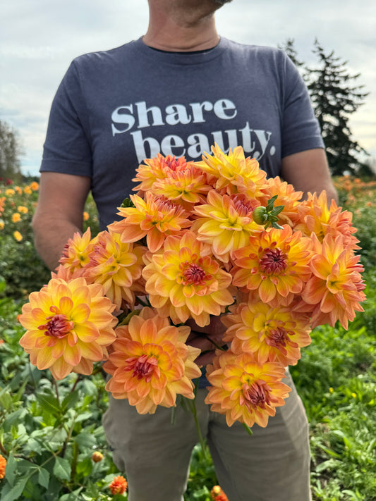 Bloomquist Evening Glow Dahlia Tuber