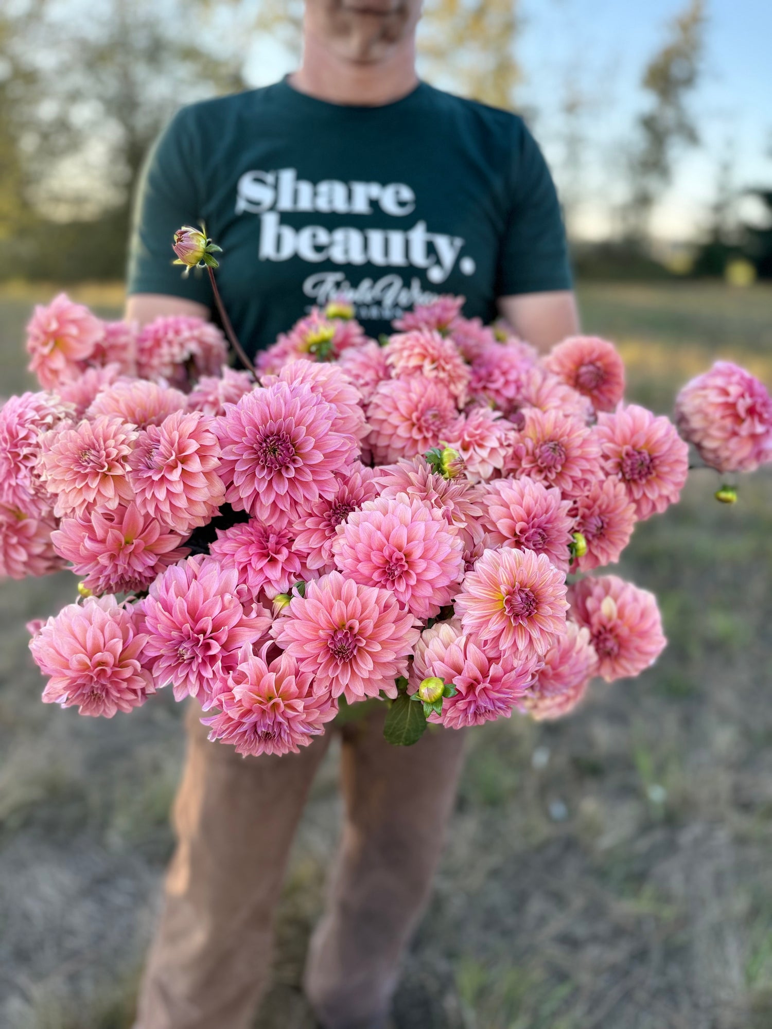 A person outdoors holding a large bouquet of pink dahlia flowers. The person is wearing a dark green t-shirt with the text 'Share beauty.