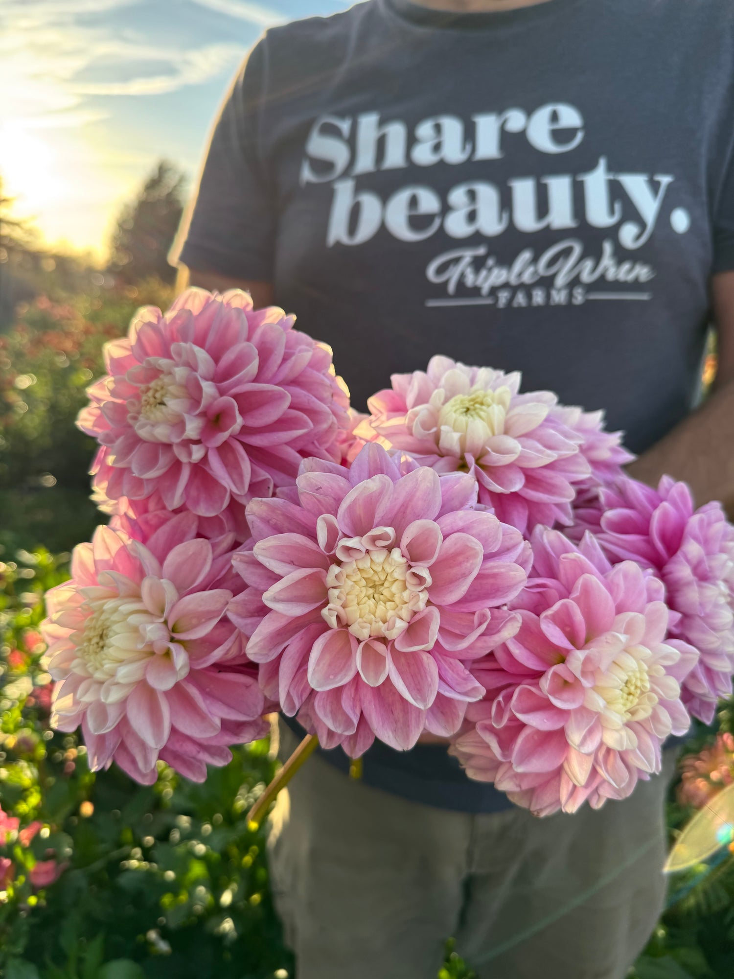 Fluffles dahlia from Triple Wren Farms