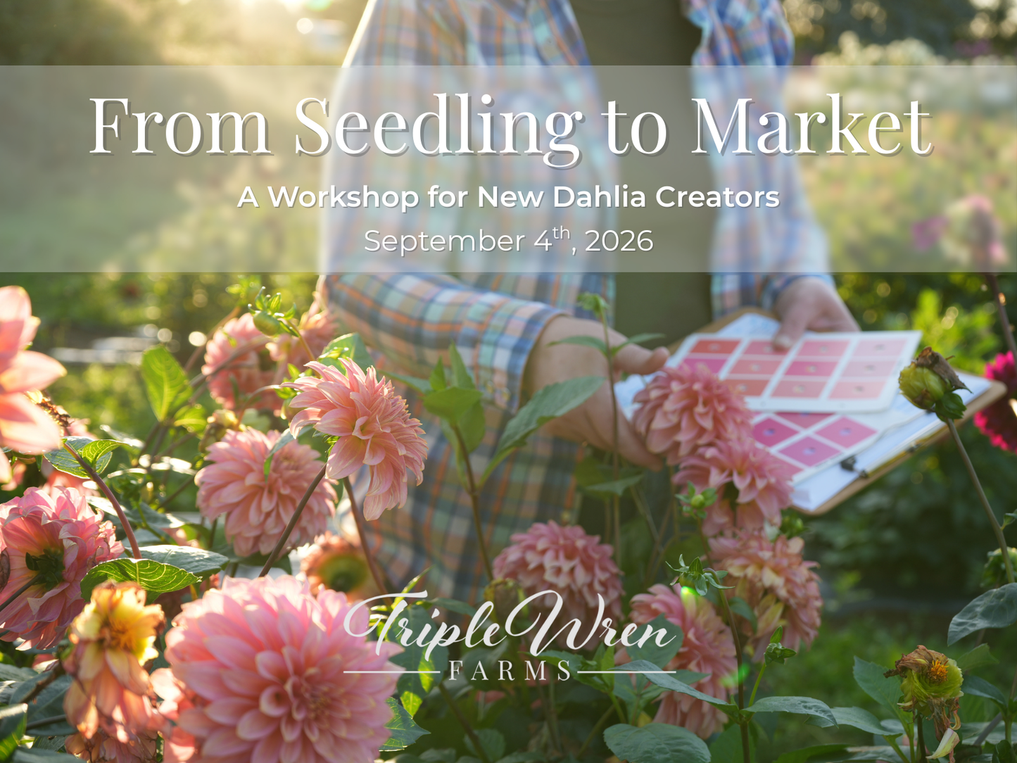 From Seedling to Market: A Workshop for New Dahlia Creators