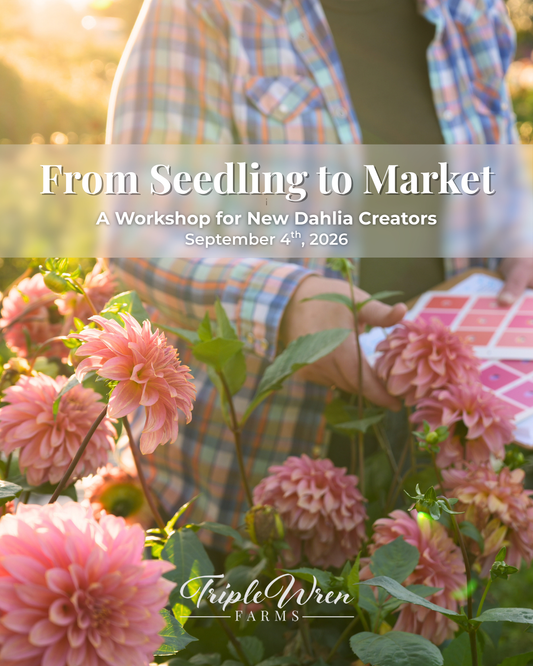 From Seedling to Market: A Workshop for New Dahlia Creators