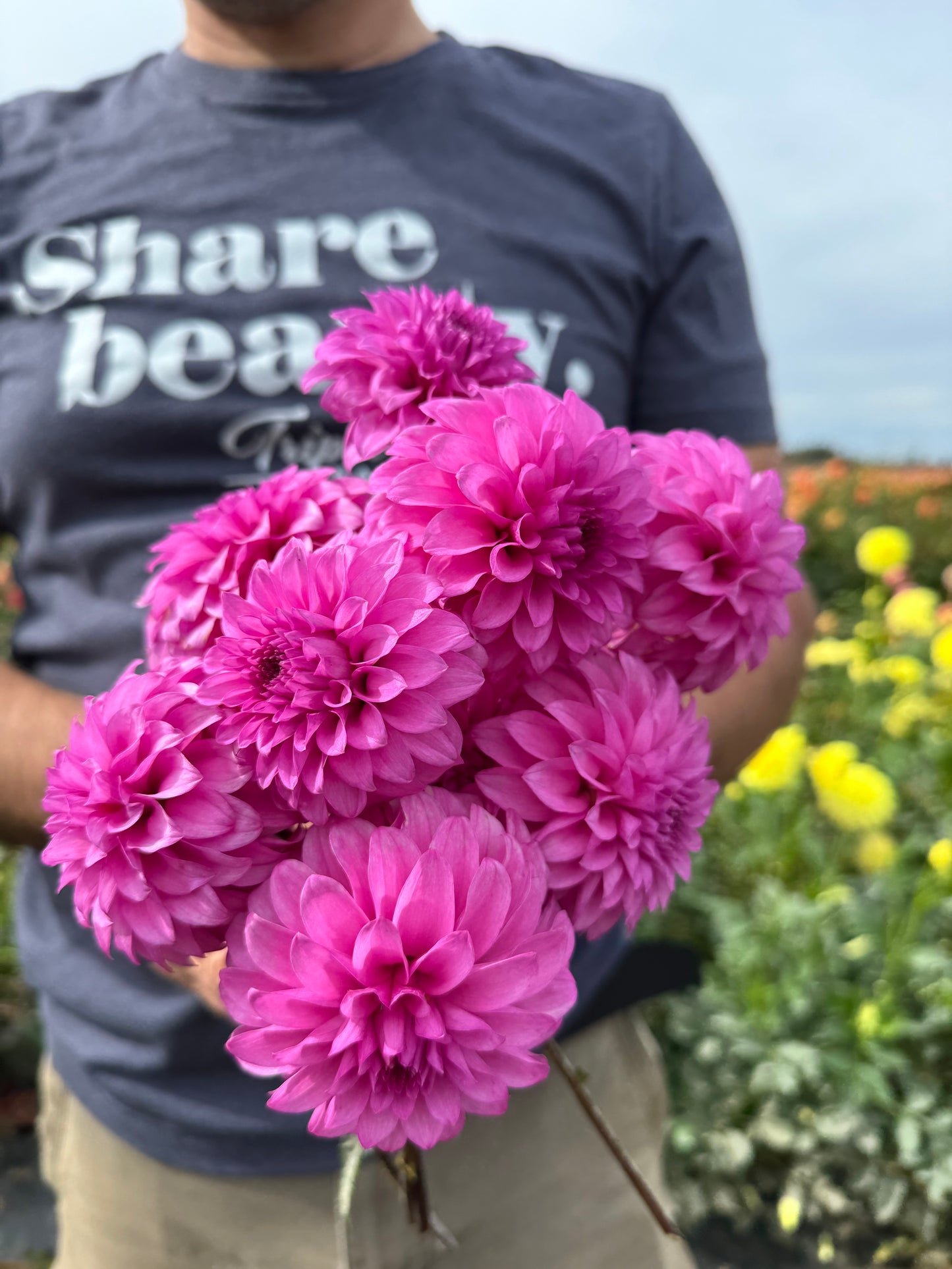 GG's Alessandro Dahlias