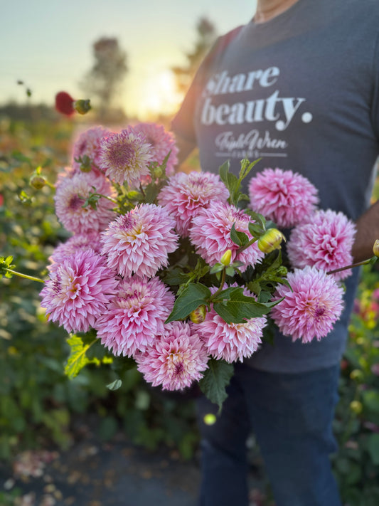 Hollyhill Pinkie Dahlia Tuber