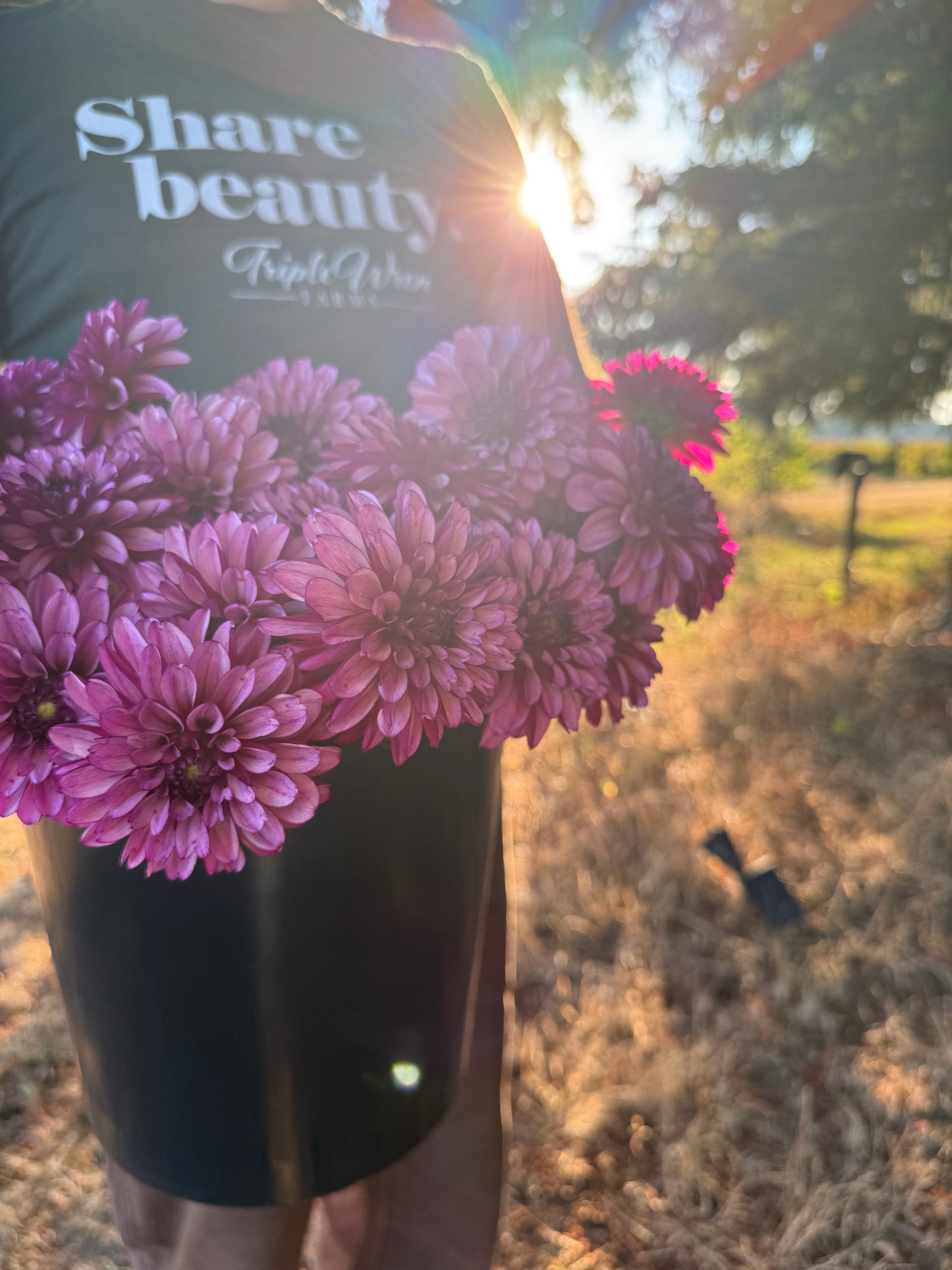 A person outdoors in a sunny field wearing a dark green t-shirt with 'Share beauty Triple Wren Farms' printed on the chest, holding a large bouquet of freshly harvested pink dahlias