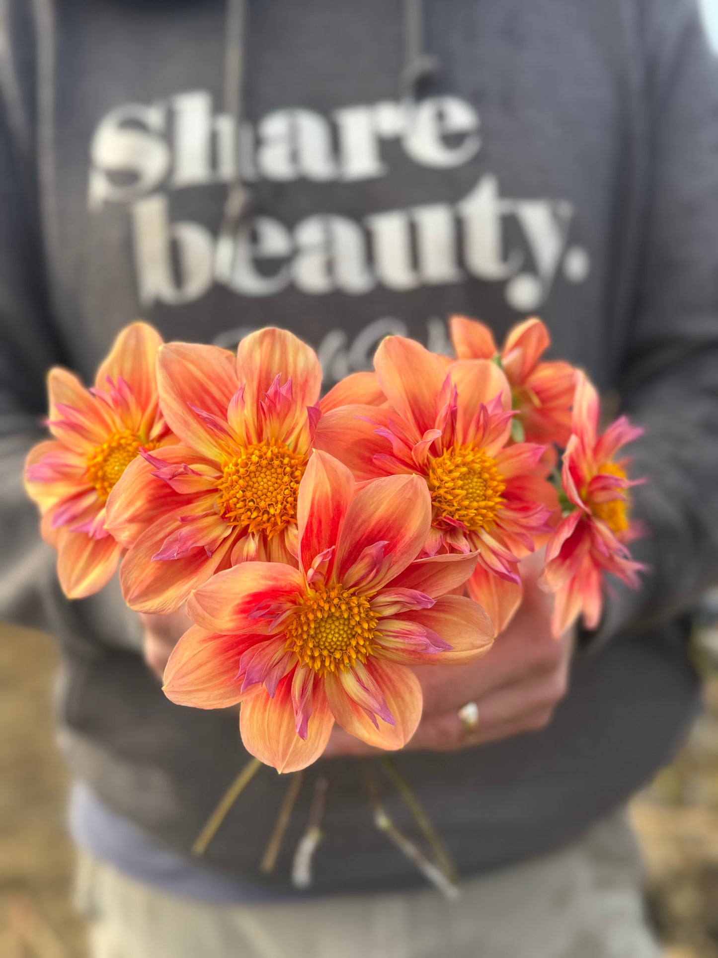 Orange Hype Dahlia Tuber