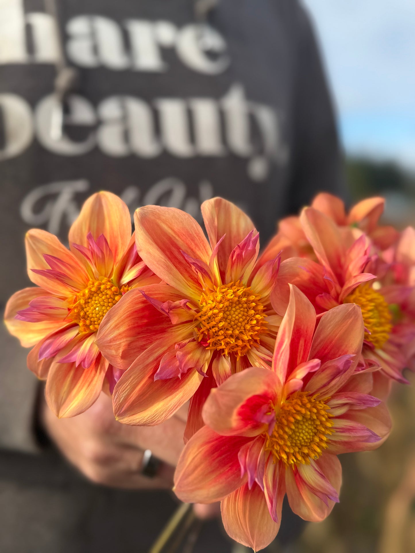 Orange Hype Dahlia Tuber