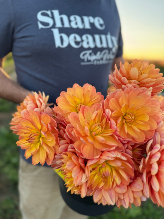 Buy Sandia Susan Waterlily Dahlia from Triple Wren Farms