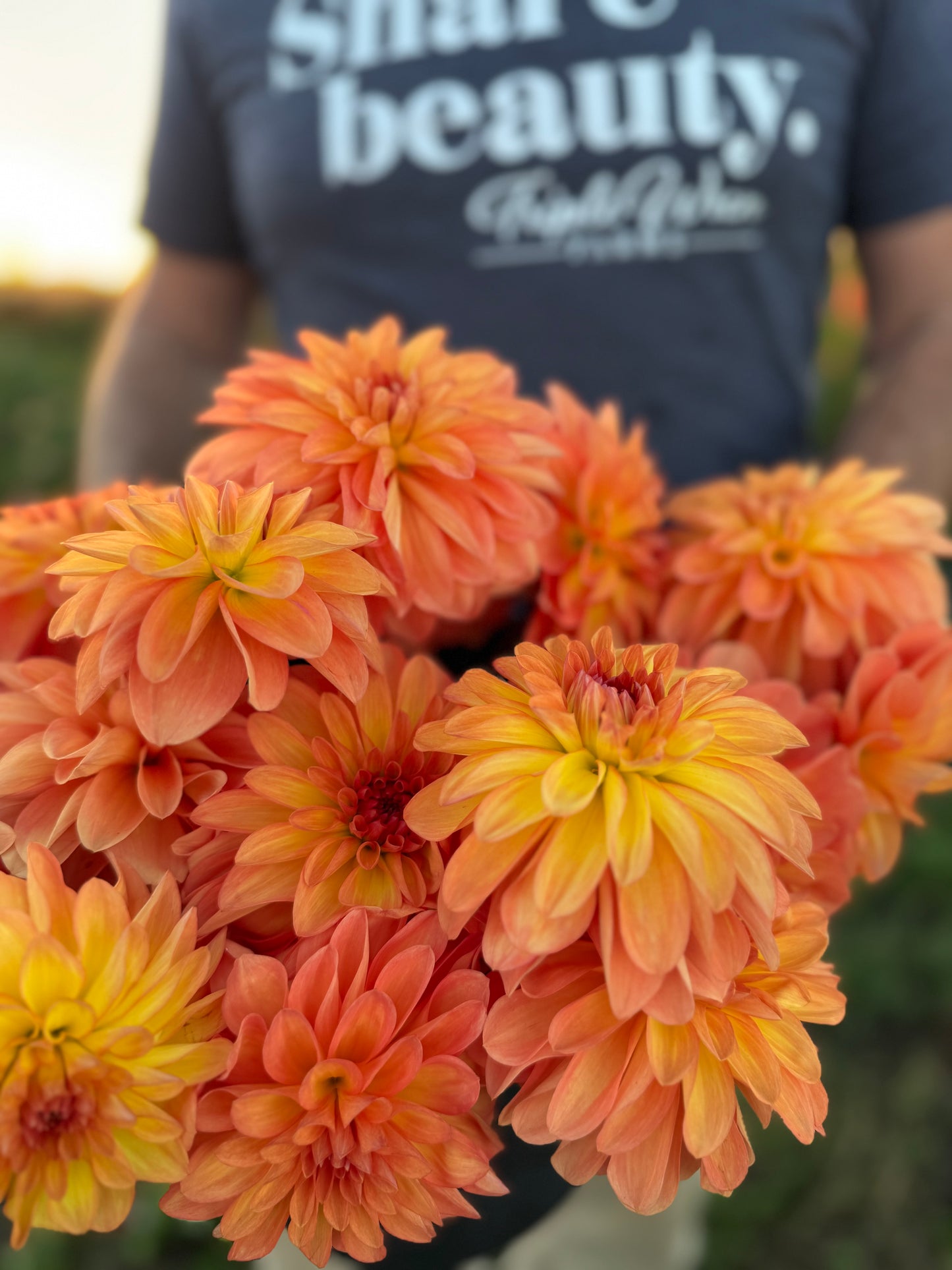 Bloomquist Monday Dahlia Tuber