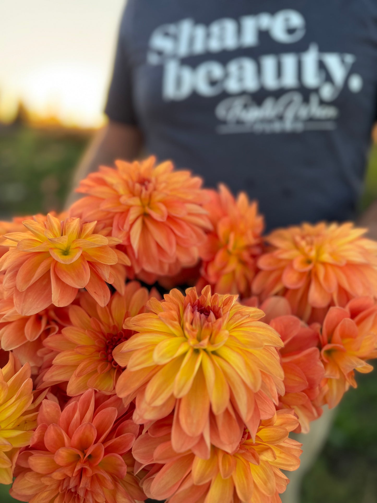 Bloomquist Monday Dahlia Tuber