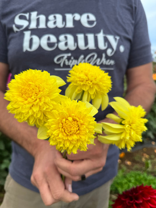 Parkland Savoy Dahlia Tuber