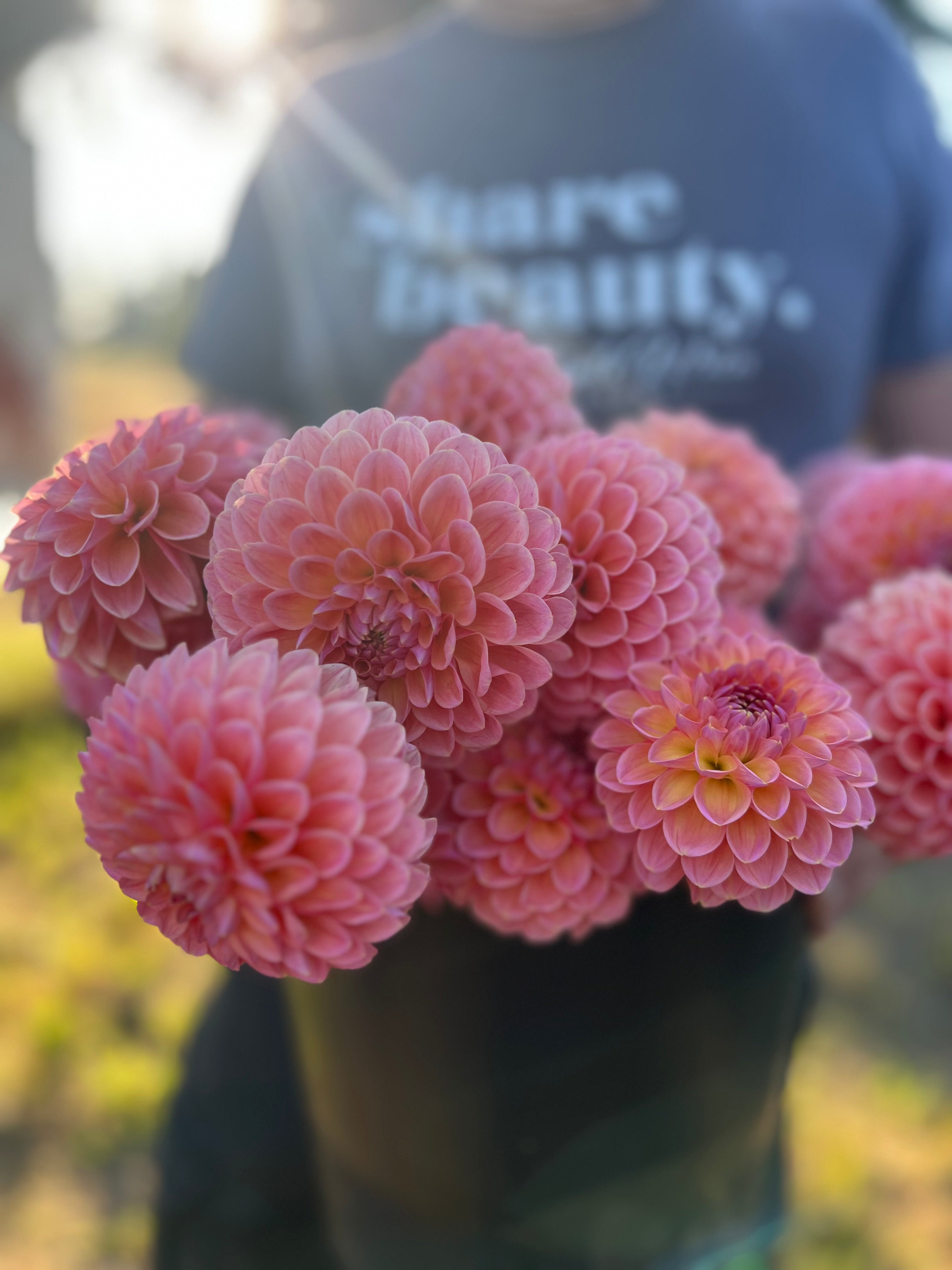 Linda’s Baby Dahlia Tuber Triple Wren Farms