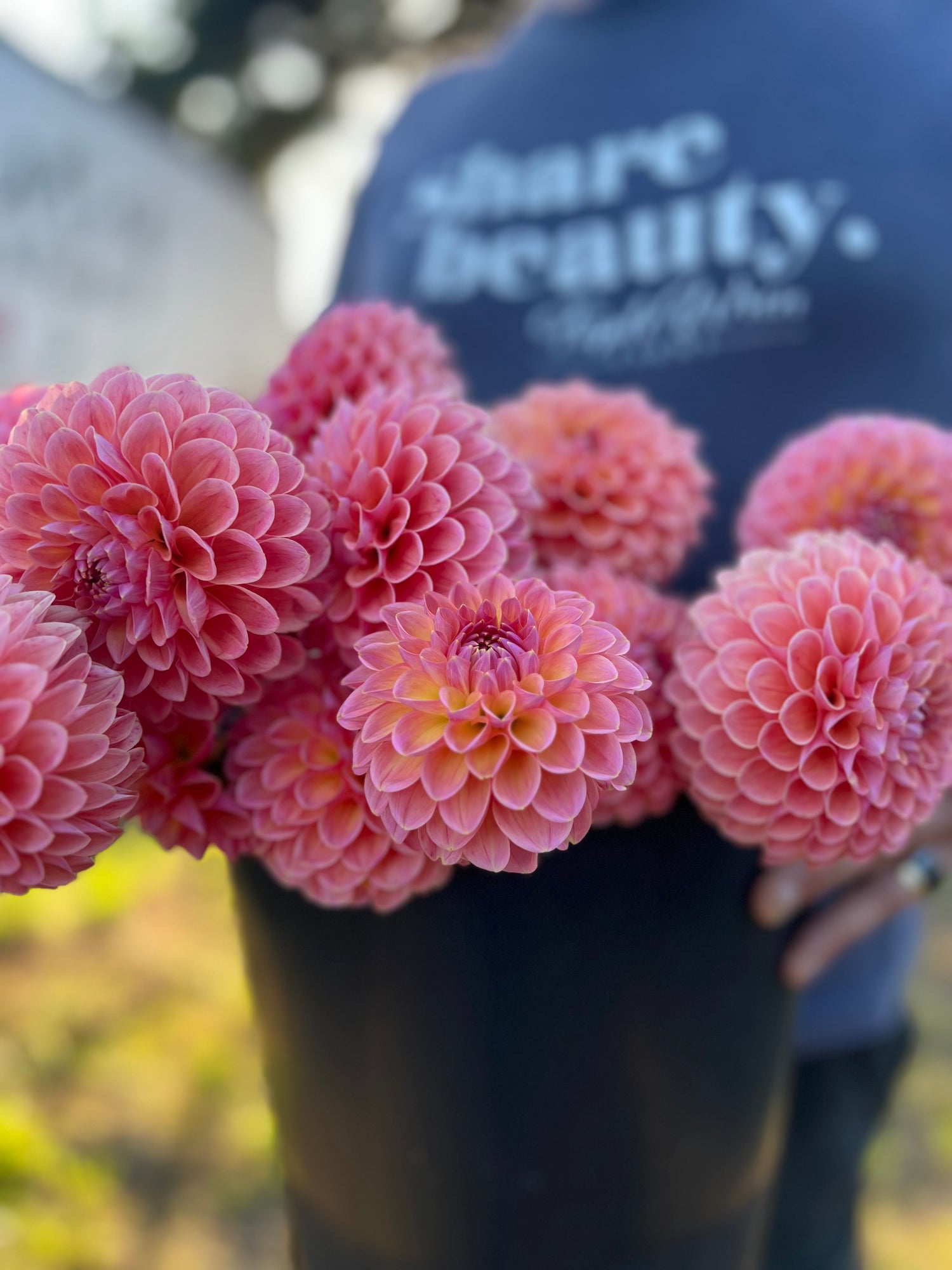 Buy Linda's Baby Dahlia Tubers from Triple Wren Farms for your home garden