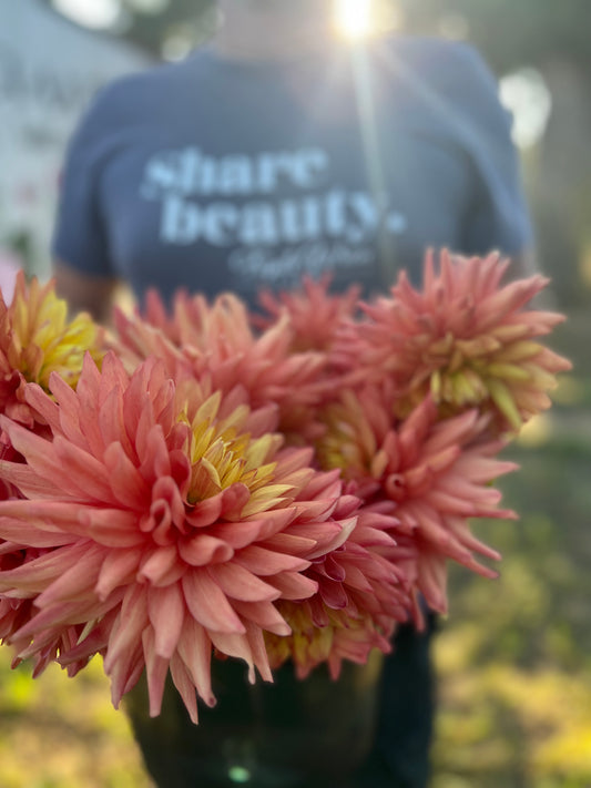 Peach and Coral and yellow Bloomquist Robyn Dahlia Tubers from Triple Wren Farms