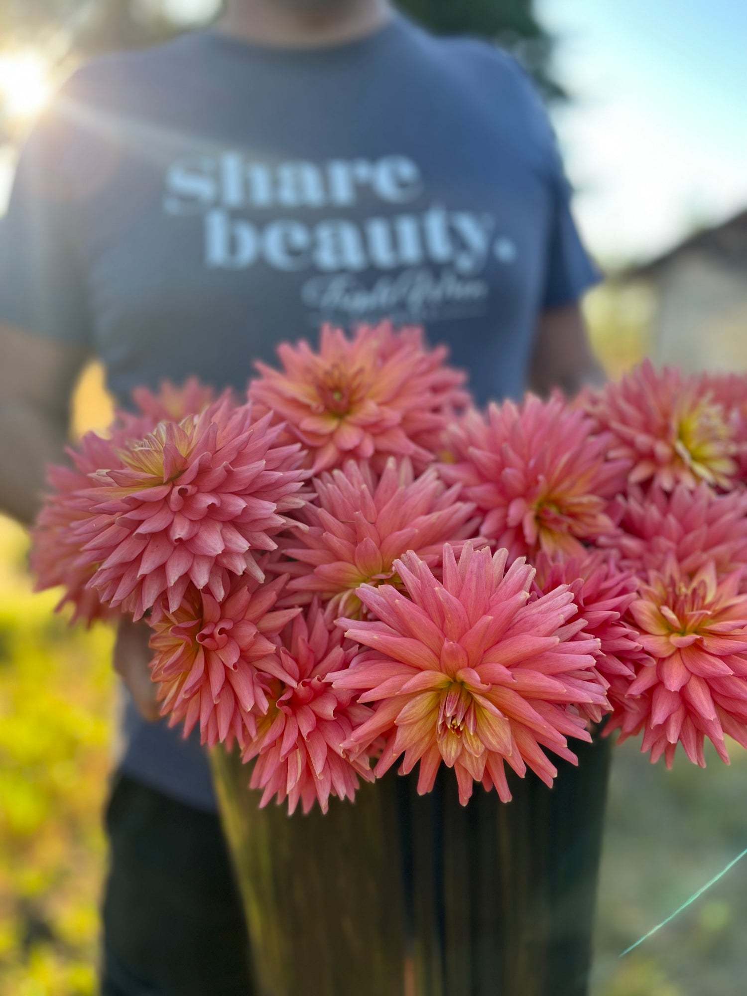 Bloomquist Love dahlia tubers from Triple Wren Farms