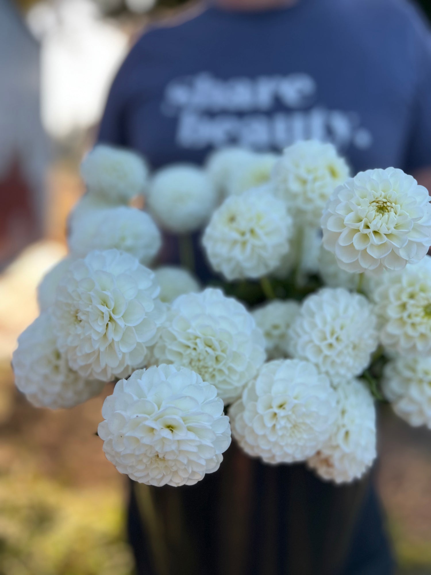 Orsett Beauty Dahlia Tubers from Triple Wren Farms