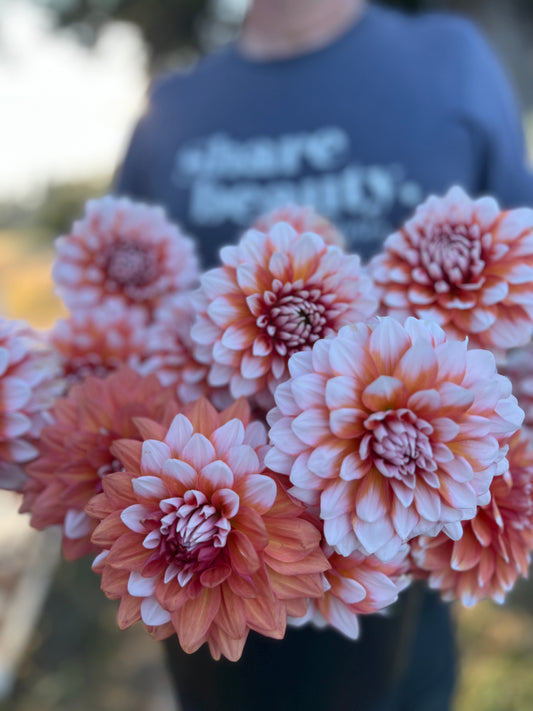A la Mode dahlia tubers from Triple Wren Farms