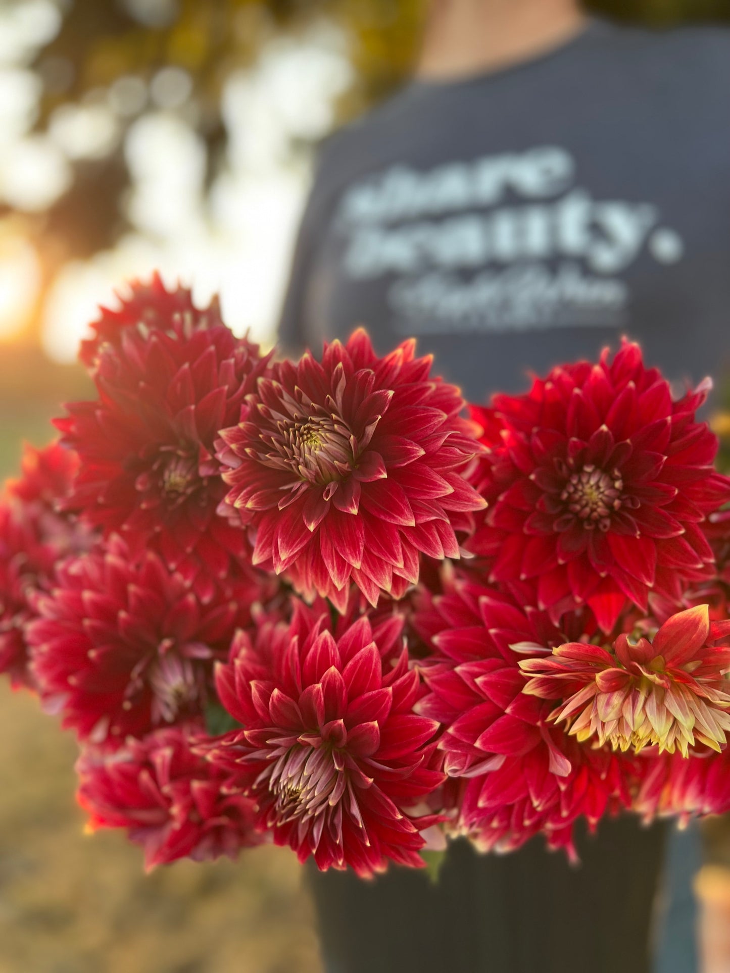 Bloomquist Christopher dahlia tuber from Triple Wren Farms