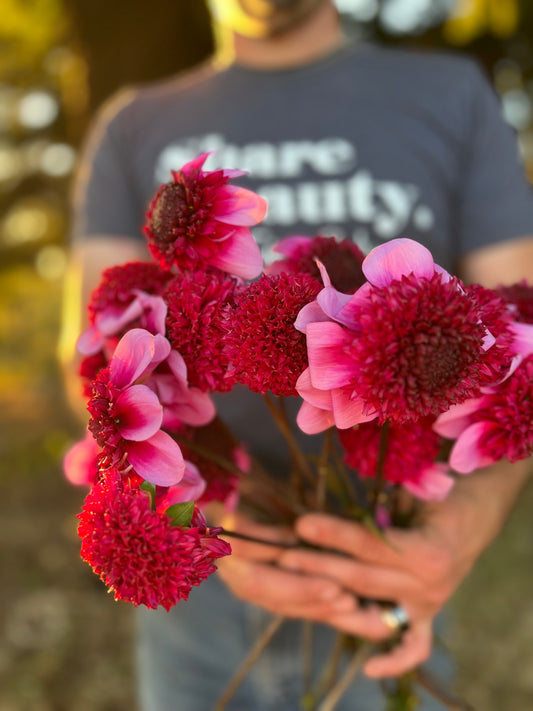 Red and Scarlet and Pink and Magenta GG's Ruby Tuesday Dahlia Tuber from Triple Wren Farms