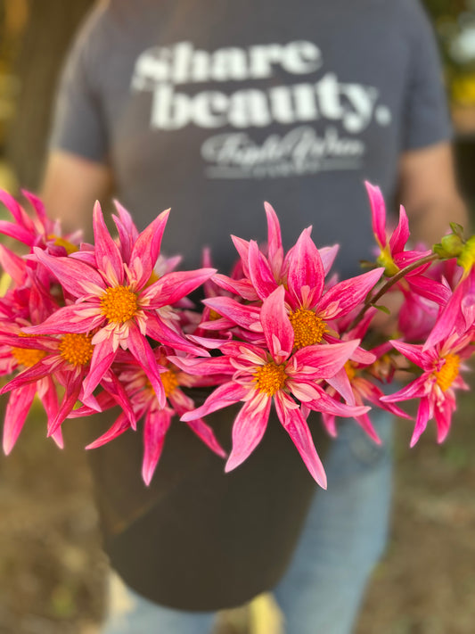 Bloomquist Exotic dahlia tubers from Triple Wren Farms
