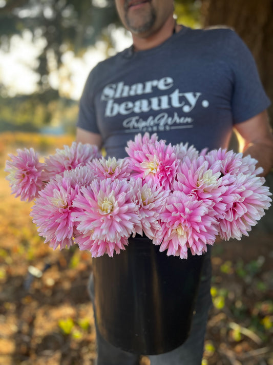 Chilson's Pride Dahlia Tuber from Triple Wren Farms