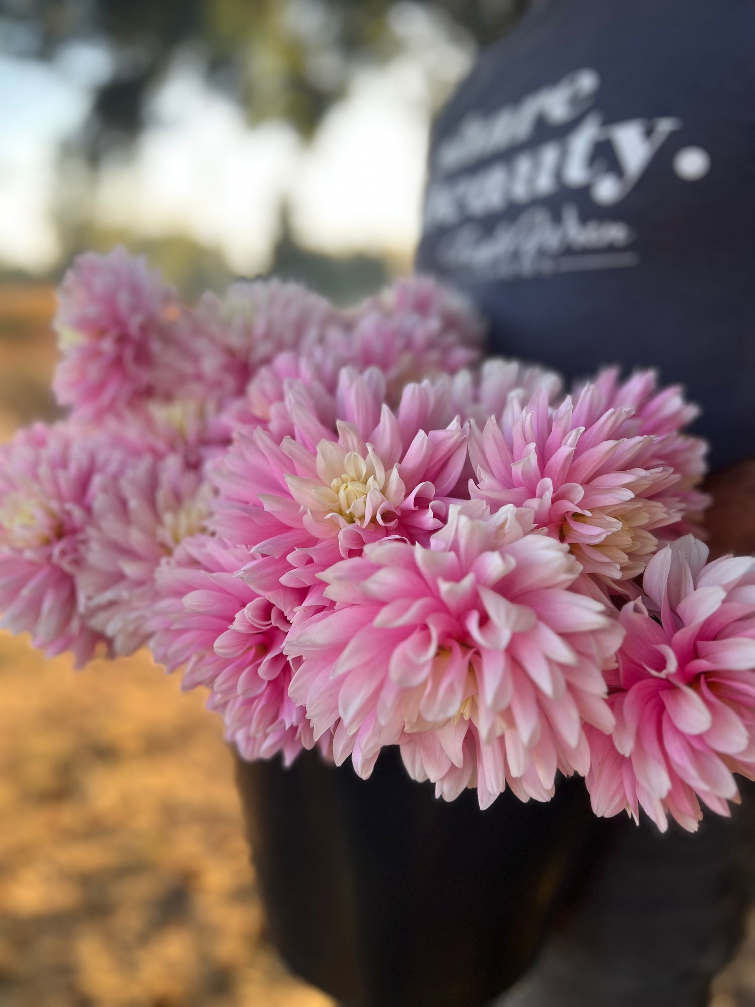 buy Chilson's Pride Dahlia Tuber from Triple Wren Farms for your home garden