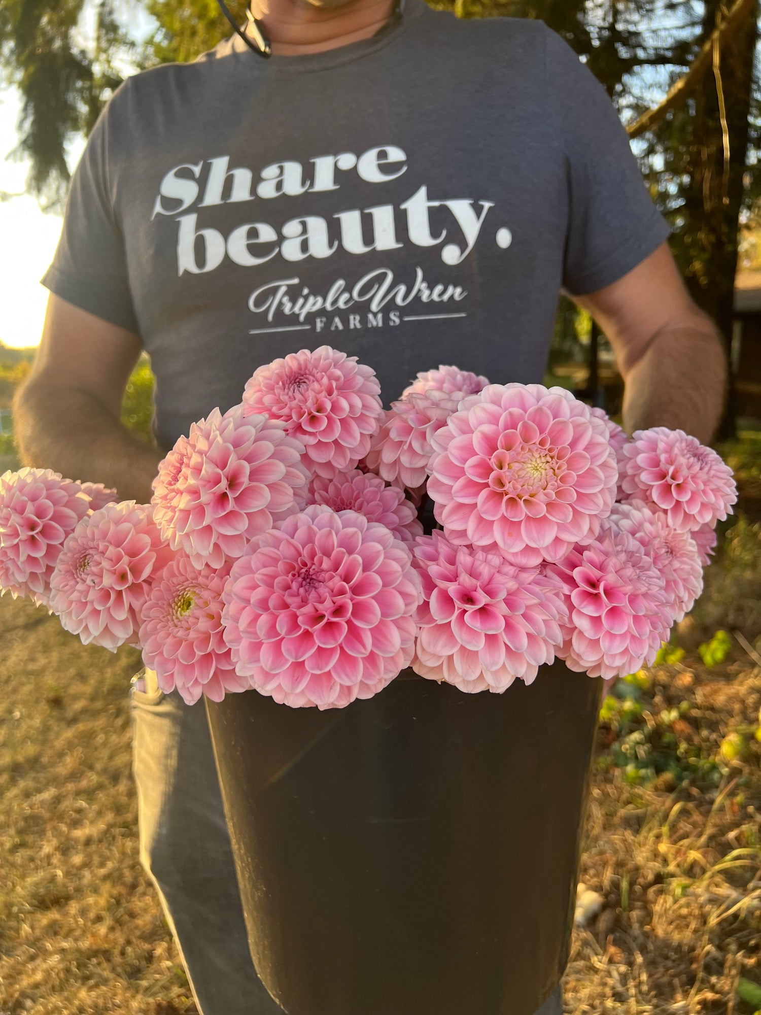 Wizard of Oz Dahlia Tubers from Triple Wren Farms