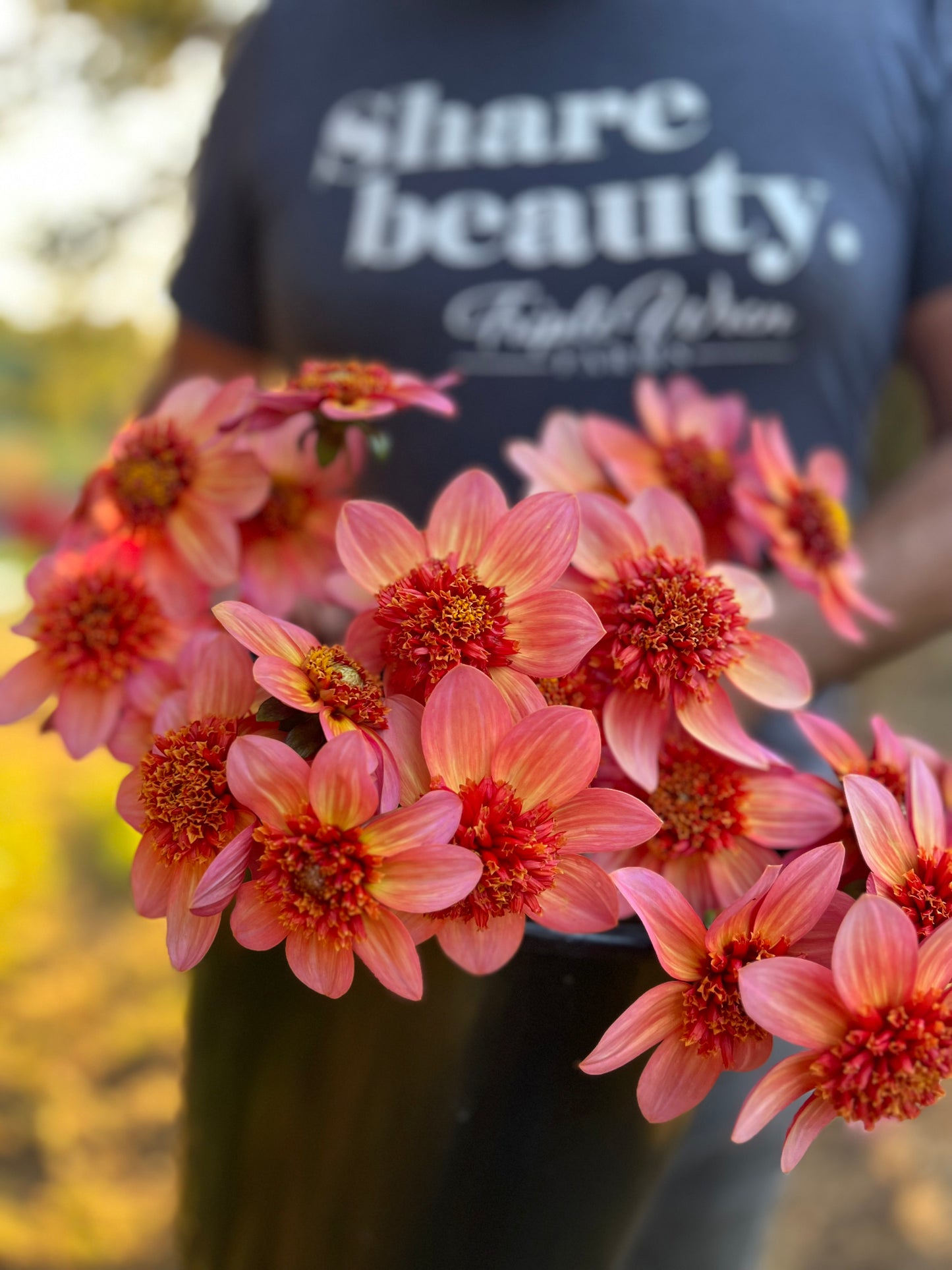 Totally Tangerine Dahlia Tuber