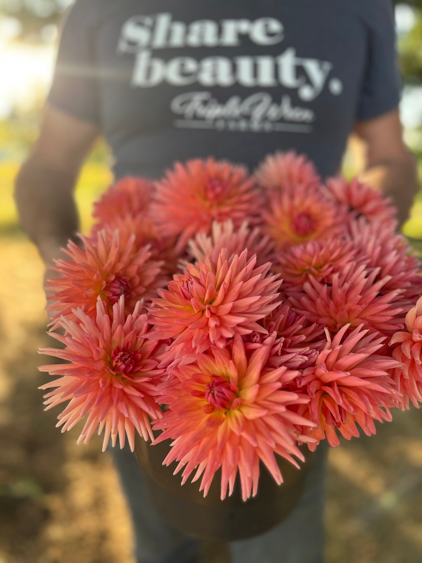 buy Bloomquist Career Dahlia tubers from Triple Wren Farms for your home garden