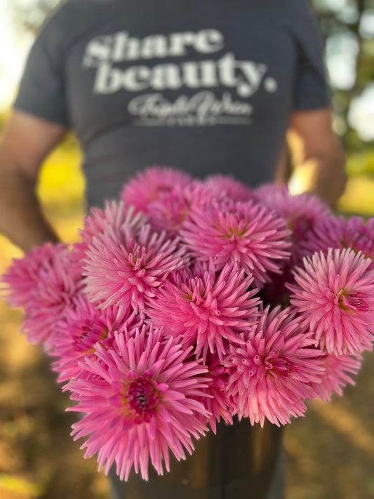 KA's Bo Peep Dahlia Tuber from Triple Wren Farms